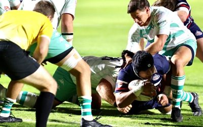 A Letter To Season Members From Free Jacks Assistant Coach, Pom Simona